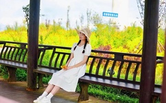 无翼乌全彩无漫画大全